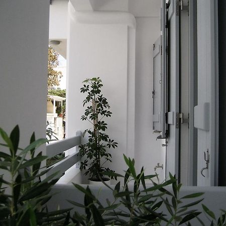 Aelia Apartments Naxos City Bagian luar foto