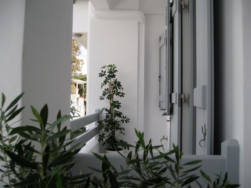 Aelia Apartments Naxos City Bagian luar foto